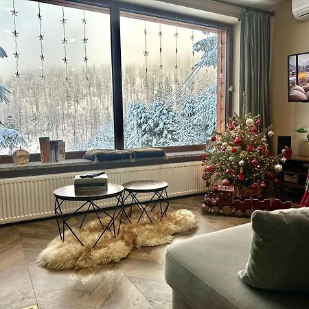 Apartament Widokowy Z Jacuzzi I Sauna Na Wylacznosc - Sikorowka - Dobre Miejsce ヴィスワ エクステリア 写真