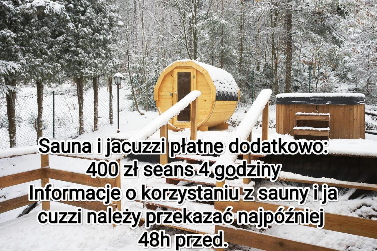Apartament Widokowy Z Jacuzzi I Sauna Na Wylacznosc - Sikorowka - Dobre Miejsce ヴィスワ エクステリア 写真