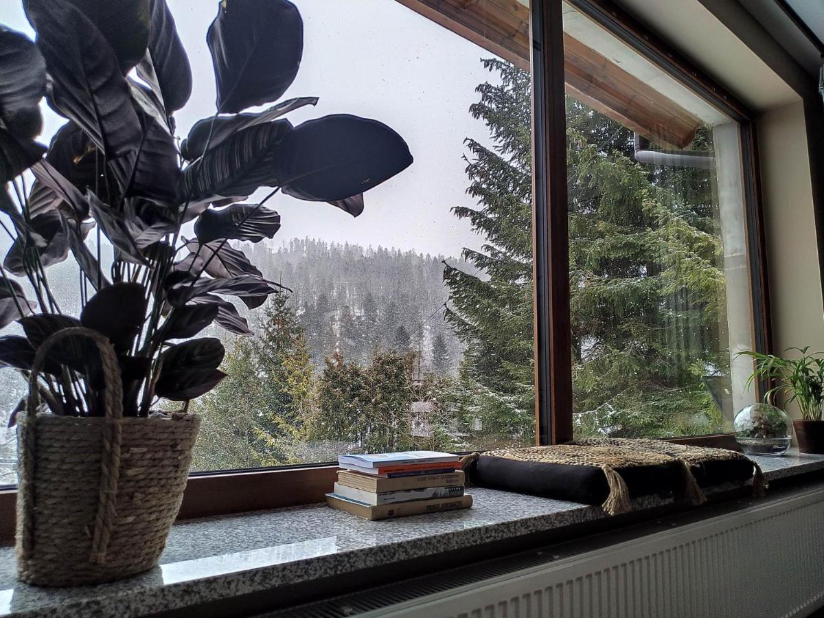 Apartament Widokowy Z Jacuzzi I Sauna Na Wylacznosc - Sikorowka - Dobre Miejsce ヴィスワ エクステリア 写真