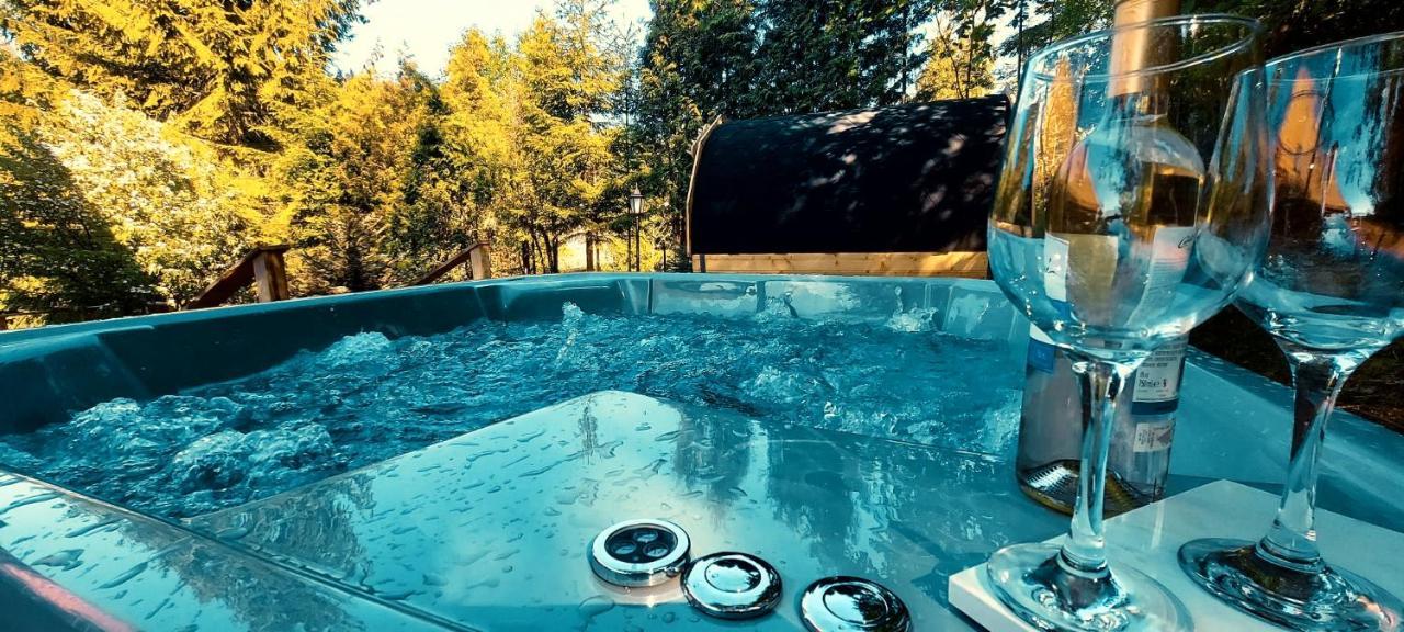 Apartament Widokowy Z Jacuzzi I Sauna Na Wylacznosc - Sikorowka - Dobre Miejsce ヴィスワ エクステリア 写真